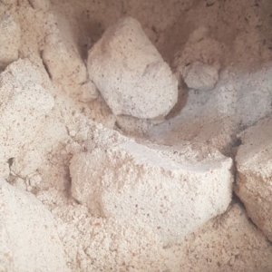 گرده سنجد کامل